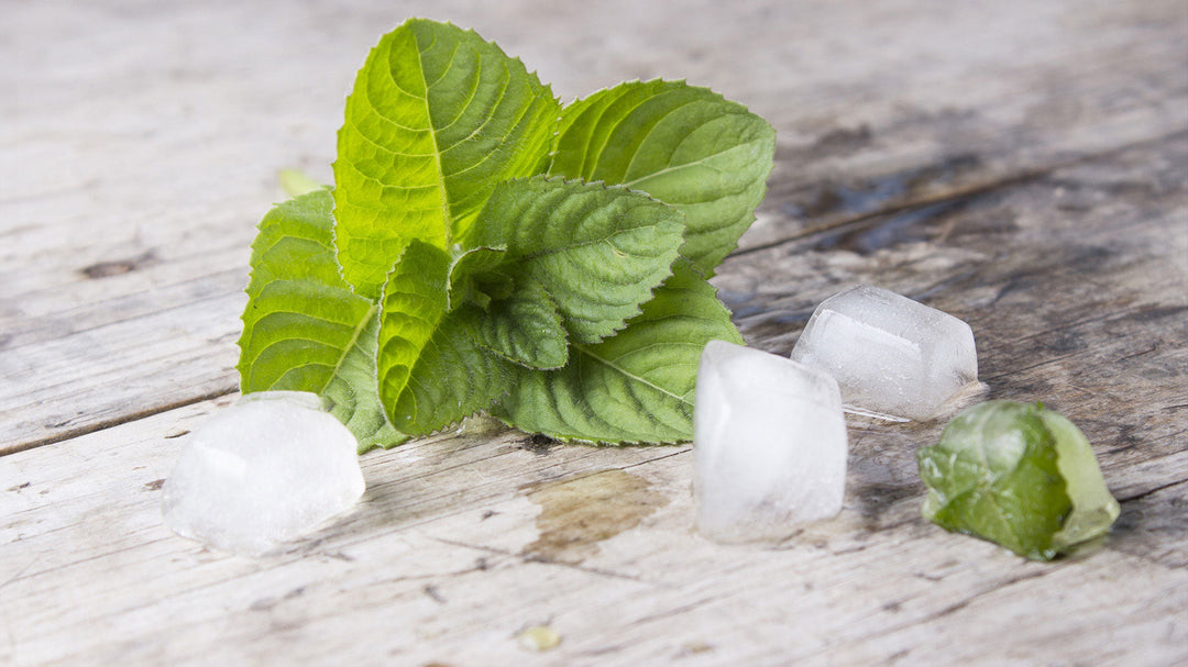 Top 5 Menthol Vape Juice Flavors